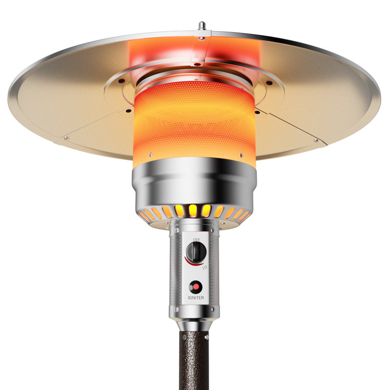 Topbuy 48000 BTU Propane Standing Patio Heater & Reviews Wayfair